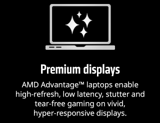 AMD Saveonlaptops 11.21.23display