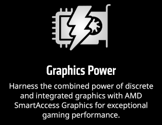 AMD Saveonlaptops 11.21.23gfx