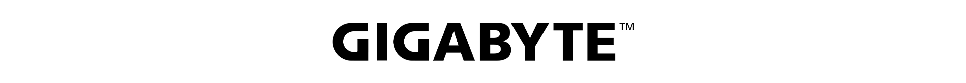 Gigabyte Bundle LP 09.15.gigabyte Logo