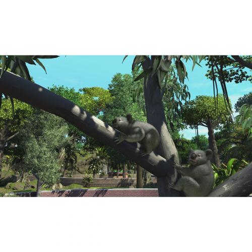 Zoo Tycoon: Ultimate Animal Collection (Digital Download)   For Xbox One & Windows 10 PC   Full Game Download Included   ESRB Rated E (Everyone)   Single Player & Co Op Supported   Simulation Game 