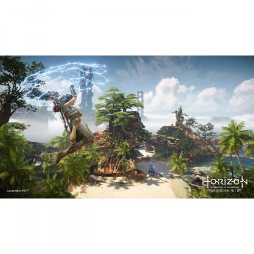Horizon Forbidden West Collectors Edition   For PlayStation 4 & PlayStation 5   ESRB Rated T (Teen 13+)   Includes SteelBook Display Case   Open World Action RPG   PlayStation Exclusive 