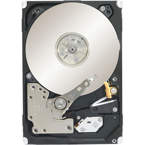 Seagate-IMSourcing Constellation.2 ST9250610NS 250 GB Hard Drive
