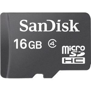 SanDisk 16 GB Class 4 microSDHC