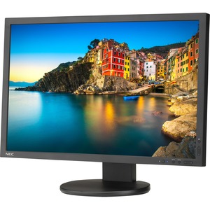 NEC Display Professional P243W-BK 24.1" WUXGA WLED LCD Monitor