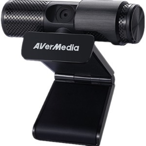 AVerMedia CAM 313 Webcam
