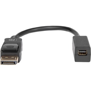 Rocstor Premium DisplayPort to Mini DisplayPort Adapter
