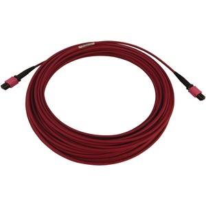 Tripp Lite Fiber Optic Cable 100G MMF 50/125 OM4 12F MTP/MPO-PC F/F 15M
