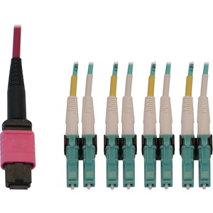 Tripp Lite Fiber Cable 40/100G MMF OM4 12F MTP/MPO-PC to 4x LC/PC F/M 1M