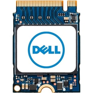 Dell 256 GB Rugged Solid State Drive