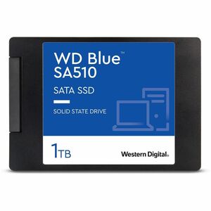 WD Blue WDS100T3B0A 1 TB Solid State Drive