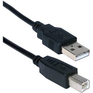 QVS USB Cable - Type A Male USB