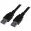 StarTech.com 6 Ft Black SuperSpeed USB 3.0 (5Gbps) Cable A To A   M/M 300/500