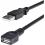 StarTech.com 6 Ft Black USB 2.0 Extension Cable A To A   M/F 300/500