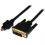 StarTech.com 6ft (2m) Micro HDMI To DVI Cable, Micro HDMI To DVI Adapter Cable, Micro HDMI Type D To DVI D Monitor/Display Converter Cord 300/500