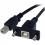 StarTech.com 3 Ft Panel Mount USB Cable B To B   F/M 300/500