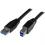 StarTech.com 10m 30 Ft Active USB 3.0 (5Gbps) USB A To USB B Cable   M/M   USB A To B Cable   USB 3.2 Gen 1 300/500