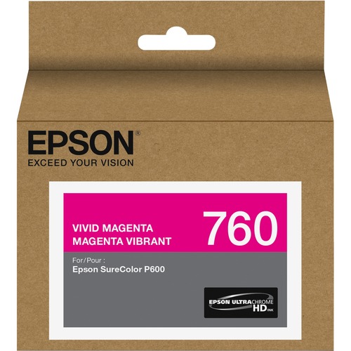 Epson UltraChrome HD T760 Original Ink Cartridge 300/500