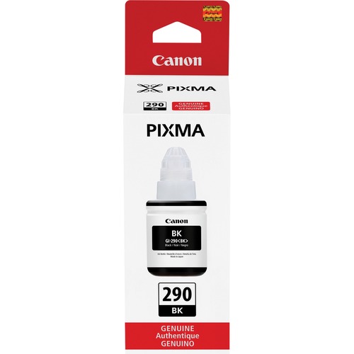 Canon PIXMA GI 290 Ink Bottle 300/500
