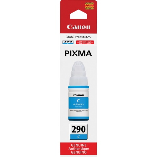 Canon PIXMA GI 290 Ink Bottle 300/500