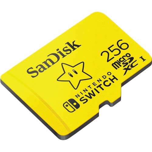 SanDisk 256 GB MicroSDXC 300/500