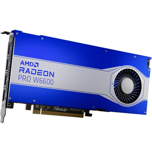AMD Radeon Pro W6600 Graphic Card   8 GB GDDR6   Full Height 300/500
