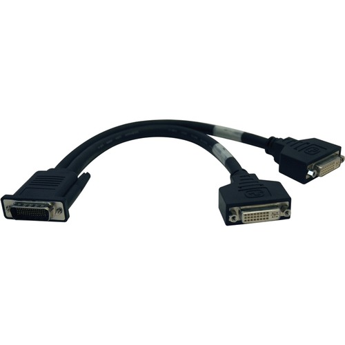 Tripp Lite by Eaton DMS-59 to Dual DVI Splitter Y Cable (M to 2x DVI-I F), 1 ft. (0.31 m)