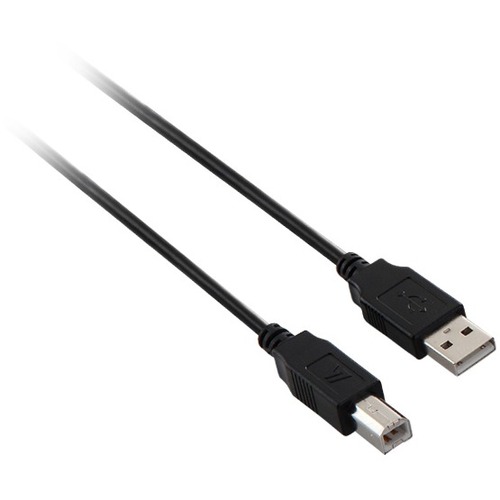 V7 USB 2.0 Cable - 10ft