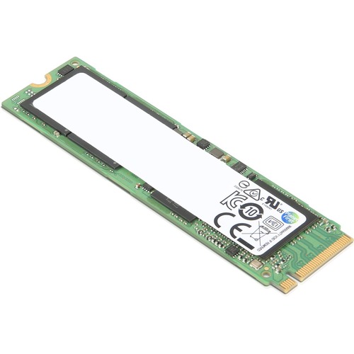 Lenovo 256 GB Solid State Drive - M.2 2280 Internal - PCI Express NVMe - Green