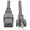 Eaton Tripp Lite Series Power Cord, C19 to NEMA 5-20P - Heavy-Duty, 20A, 125V, 12 AWG, 10 ft. (3.05 m), Black