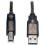 Tripp Lite By Eaton USB 2.0 A To B Active Repeater Cable (M/M), 25 Ft. (7.62 M) Alternate-Image1/500