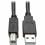 Tripp Lite By Eaton HDMI/DVI/USB KVM Cable Kit, 10 Ft. (3.05 M)   USB 2.0, 4K 60Hz Alternate-Image1/500