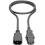 Eaton Tripp Lite Series Power Extension Cord, Locking C13 To C14 PDU Style   10A, 250V, 18 AWG, 3 Ft. (0.91 M) Alternate-Image1/500