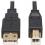 Tripp Lite By Eaton HDMI KVM Cable Kit   4K HDMI USB 2.0 3.5 Mm Audio (M/M) Black 6 Ft. (1.83 M) Alternate-Image1/500