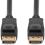 Rocstor DisplayPort 1.4 Cable Alternate-Image1/500