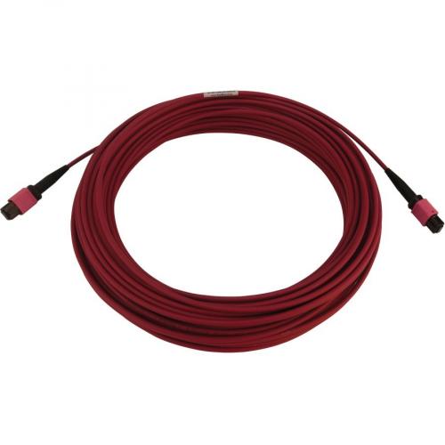 Eaton Tripp Lite Series 100G Multimode 50/125 OM4 Fiber Optic Cable (12F MTP/MPO PC F/F), LSZH, Magenta, 20 M (65.6 Ft.) Alternate-Image1/500