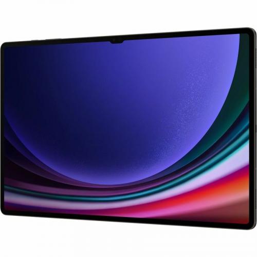 Samsung Galaxy Tab S9 Ultra SM X910 Rugged Tablet   14.6"   Qualcomm SM8550 AB Octa Core   16 GB   1 TB Storage   Android 13   Graphite Alternate-Image1/500