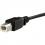 StarTech.com 3 Ft Panel Mount USB Cable B To B   F/M Alternate-Image2/500