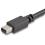 StarTech.com 6 Ft. / 1.8 M USB C To Mini DisplayPort Cable   4K 60Hz   Black   USB 3.1 Type C To Mini DP Adapter Cable   MDP Cable Alternate-Image2/500