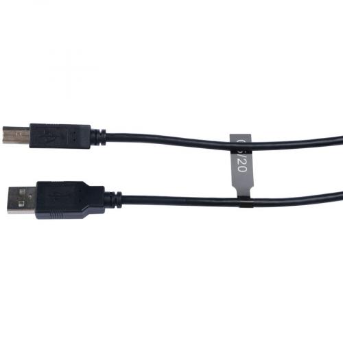 V7 USB 2.0 Cable   6ft Alternate-Image2/500