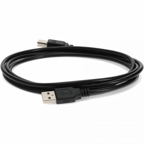 AddOn 6ft USB 2.0 (A) Male To USB 2.0 (B) Male Black Cable Alternate-Image2/500