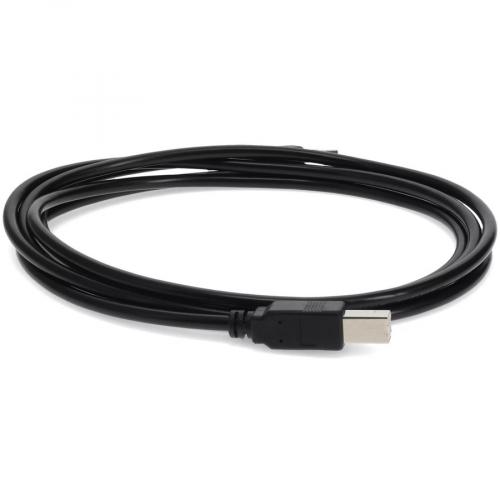 30ft (9m) USB A 2.0 Male To USB B 2.0 Male Black Printer Extension Cable Alternate-Image2/500