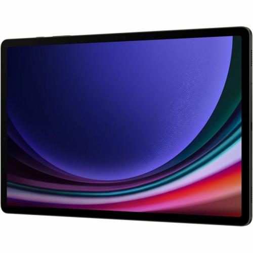Samsung Galaxy Tab S9+ SM X810 Tablet   12.4"   Qualcomm SM8550 AB Octa Core   12 GB   512 GB Storage   Android 13   Graphite Alternate-Image2/500