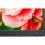 NEC Display MultiSync E273F BK 27" Class Full HD LCD Monitor   16:9 Alternate-Image3/500