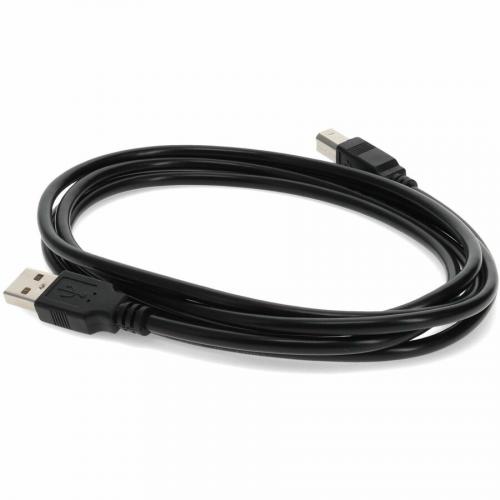 AddOn 6ft USB 2.0 (A) Male To USB 2.0 (B) Male Black Cable Alternate-Image3/500