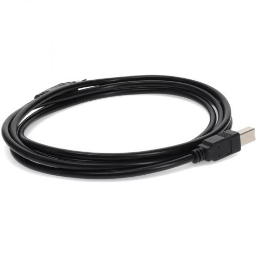 30ft (9m) USB A 2.0 Male To USB B 2.0 Male Black Printer Extension Cable Alternate-Image3/500