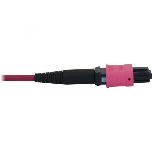 Eaton Tripp Lite Series 100G Multimode 50/125 OM4 Fiber Optic Cable (12F MTP/MPO PC F/F), LSZH, Magenta, 2 M (6.6 Ft.) Alternate-Image3/500