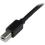 StarTech.com 20m / 65 Ft Active USB 2.0 A To B Cable   M/M Alternate-Image4/500