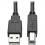 Tripp Lite By Eaton 6ft HDMI DVI USB KVM Cable Kit USB A/B Keyboard Video Mouse 6' Alternate-Image4/500