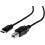 Rocstor Premium USB Data Transfer Cable Alternate-Image4/500