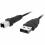 Belkin Hi Speed USB 2.0 Cable Alternate-Image4/500